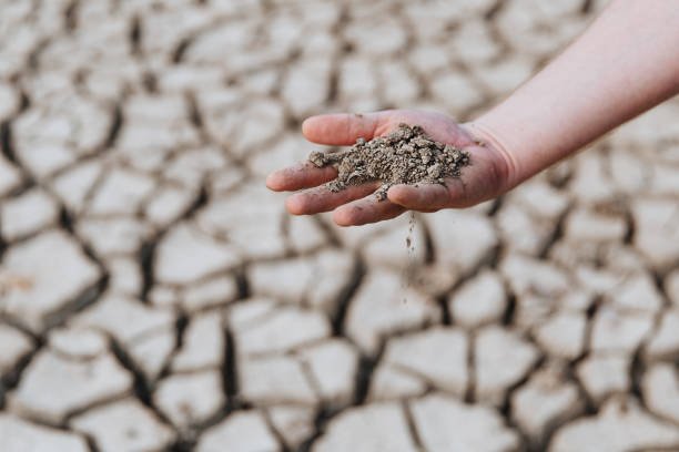 Arid Plains and Soil Stabilization