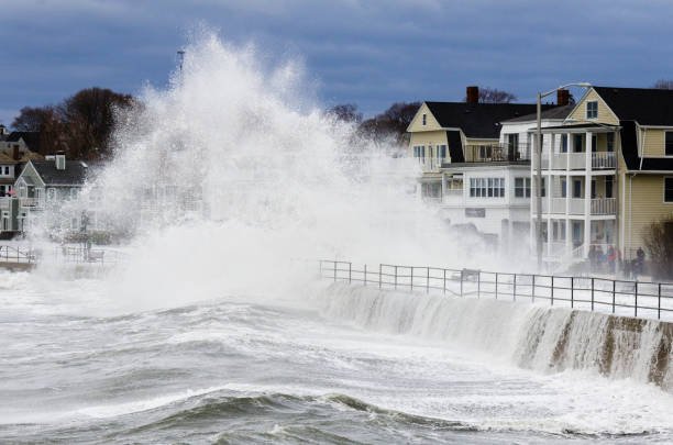 Coastal Wind and Hurricane Wall Layouts