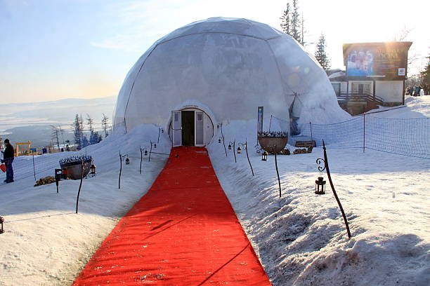 Geodesic Dome Homes